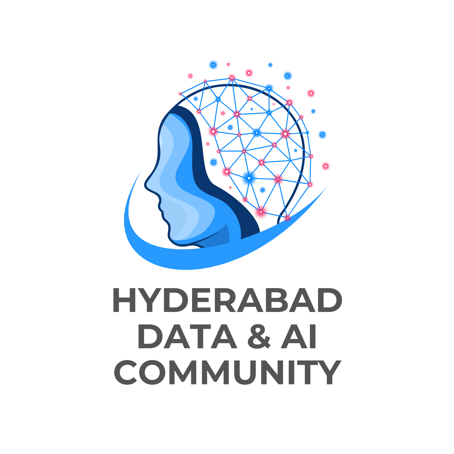 Hyderabad Data and AI Community logo